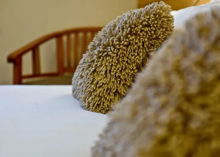 فندق Maison Casadebaig 3*